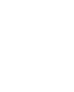 Spider web white with opacity