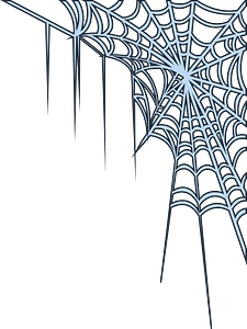 Spider web