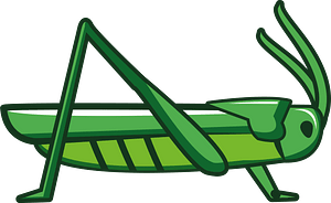 Grasshopper