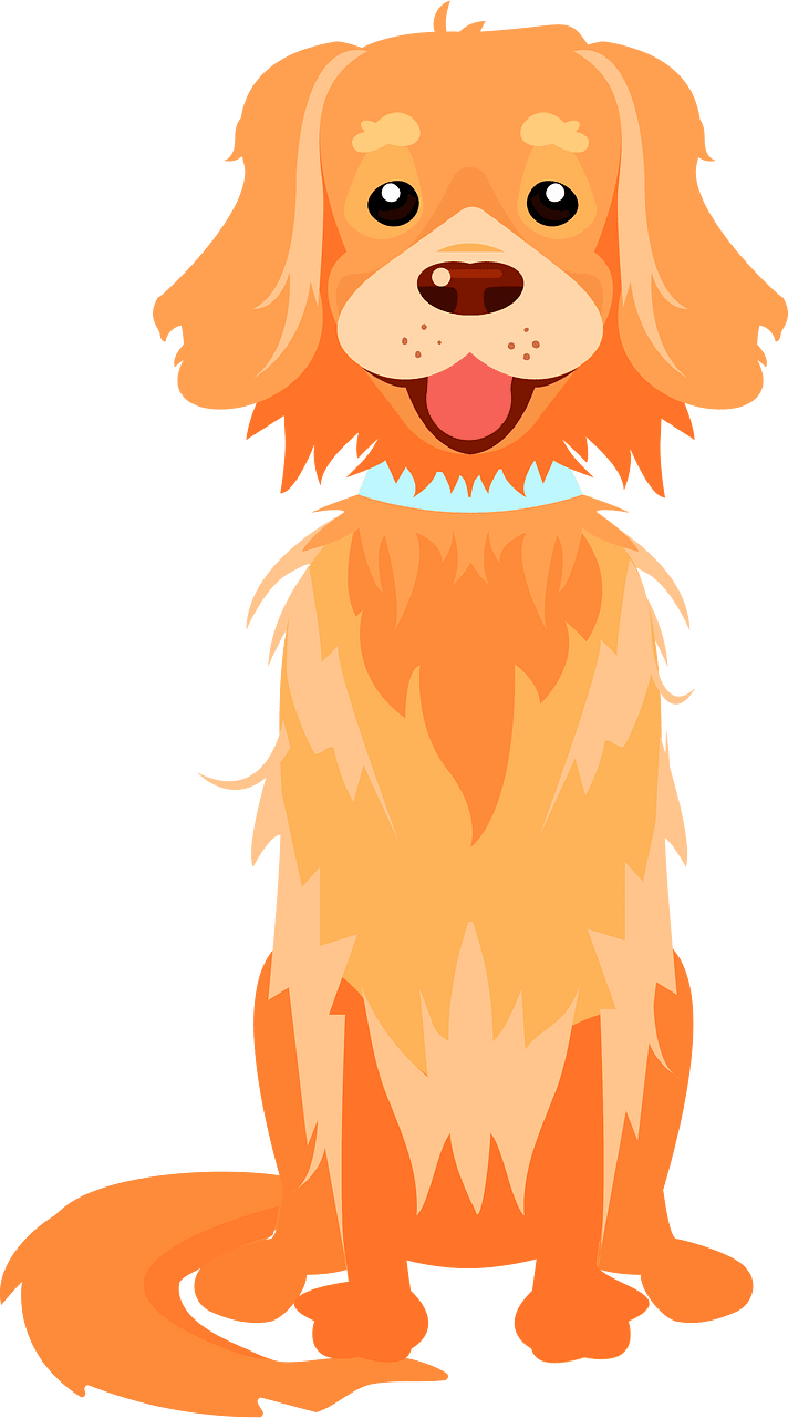 Retriever