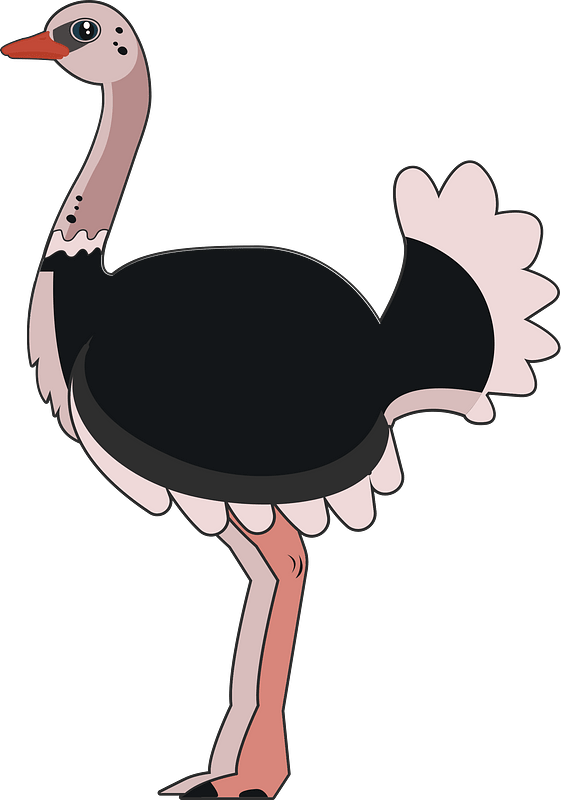 Ostrich