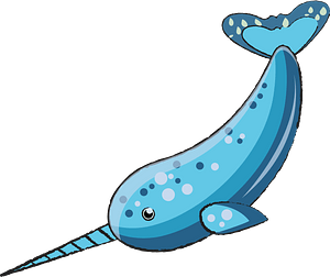 Narwhal