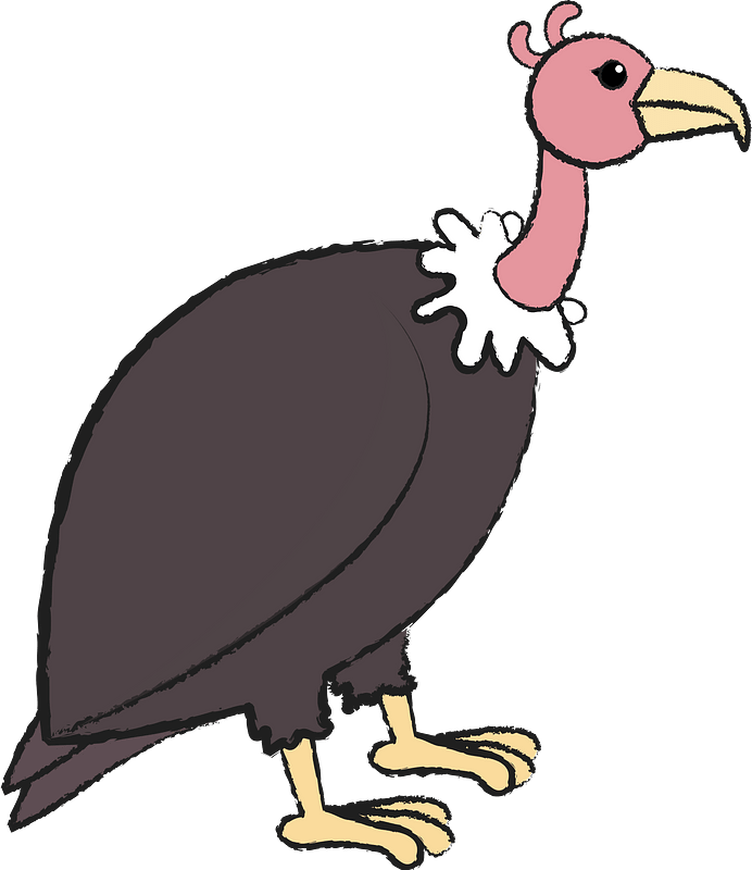 Vulture