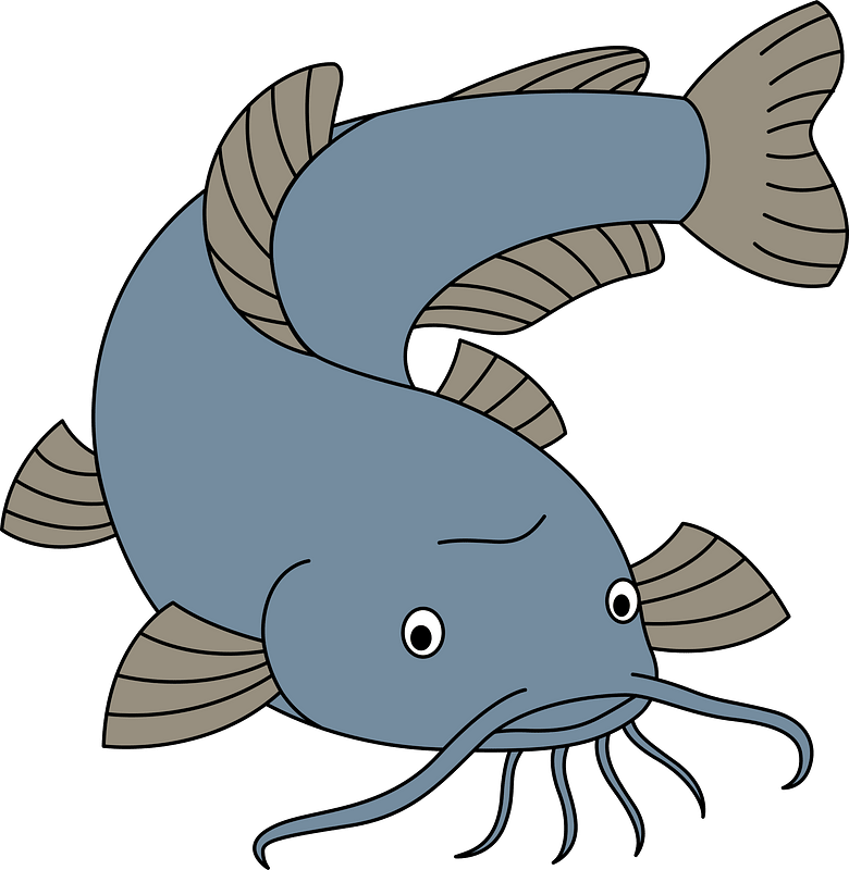 Catfish - Free vector clipart images on creazilla.com