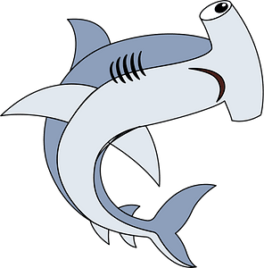 Hammerhead shark