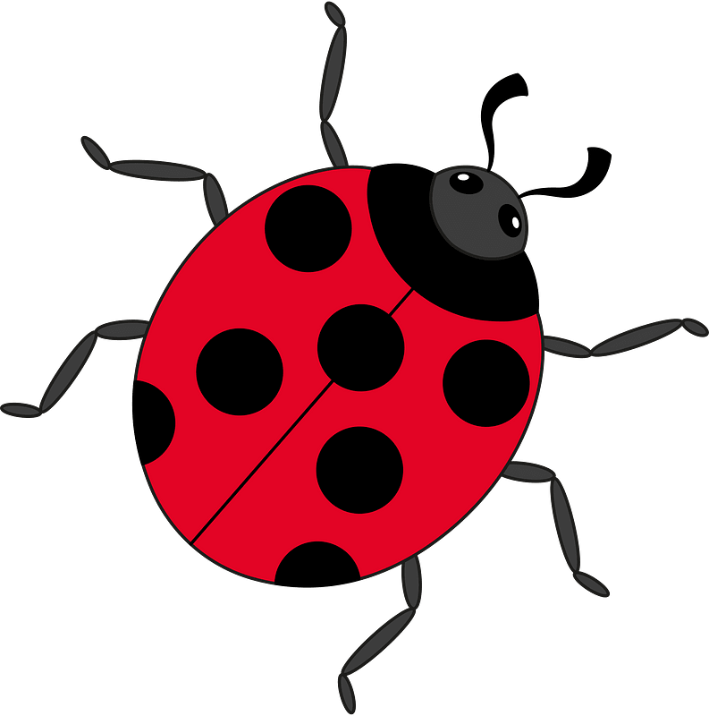 Kepik