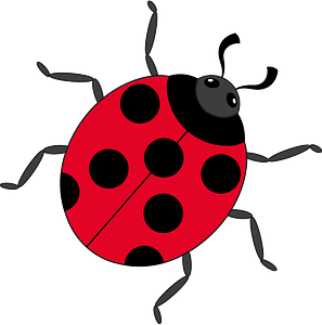 Ladybug