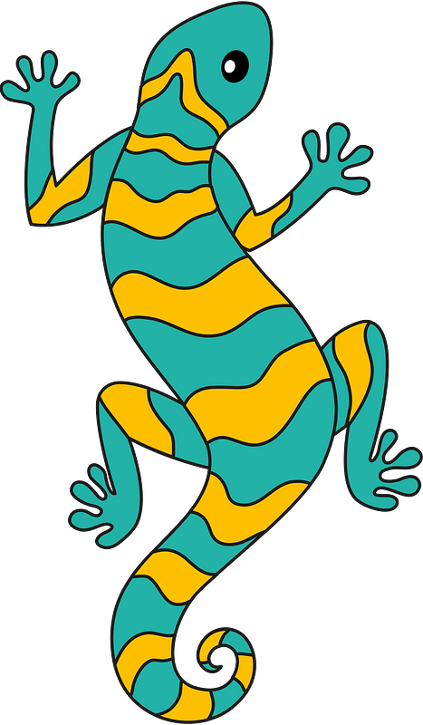 Lizard