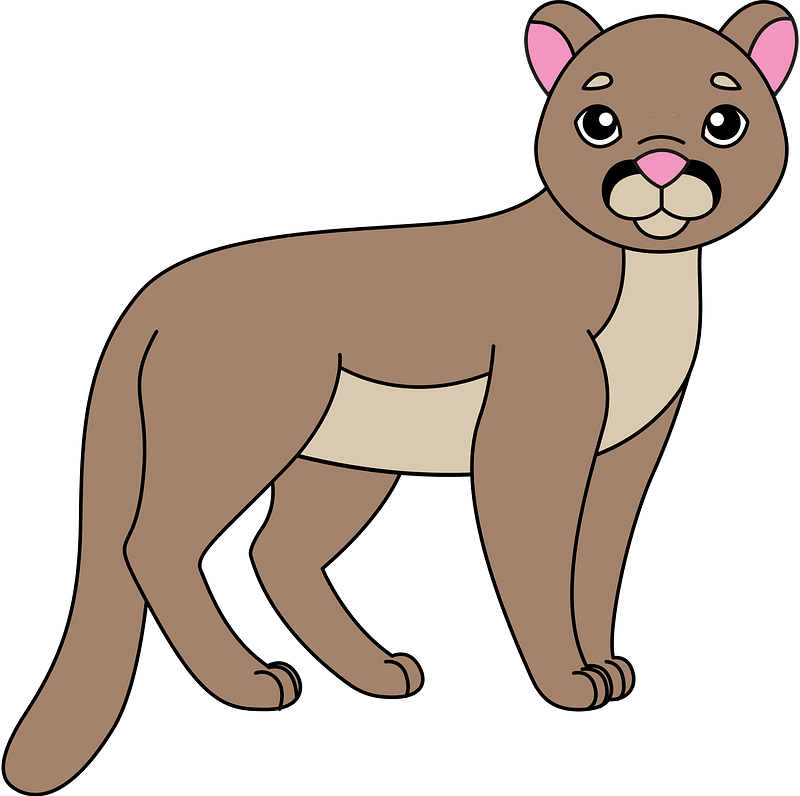 美洲金猫属