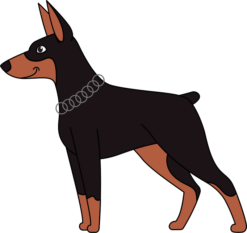 Doberman