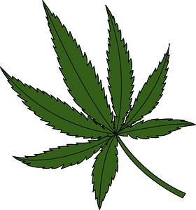 Marijuana