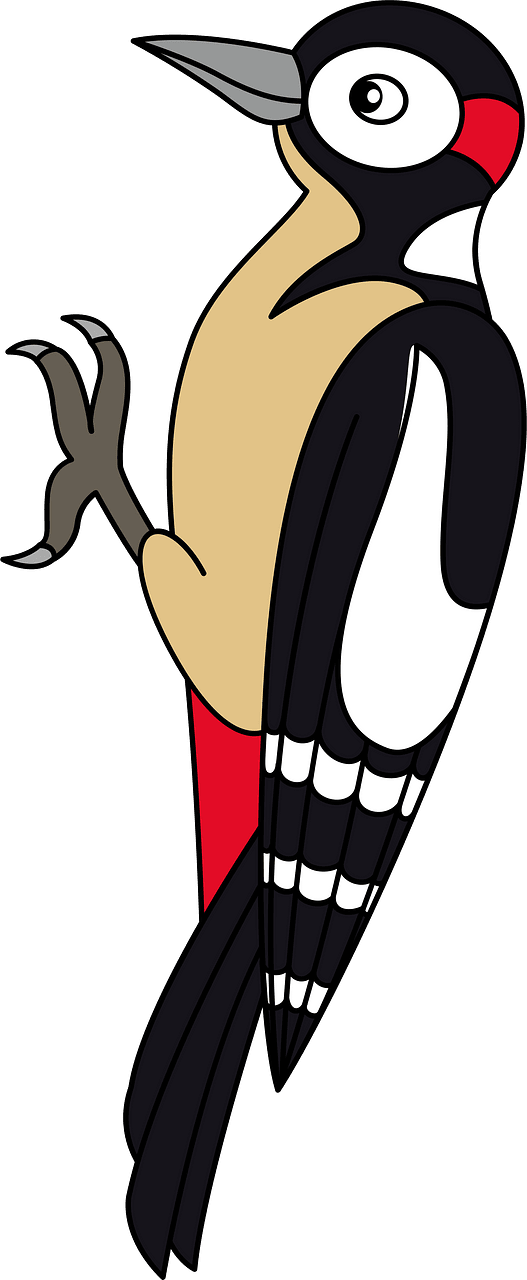 Woodpecker