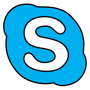 Social Media icons Skype icon