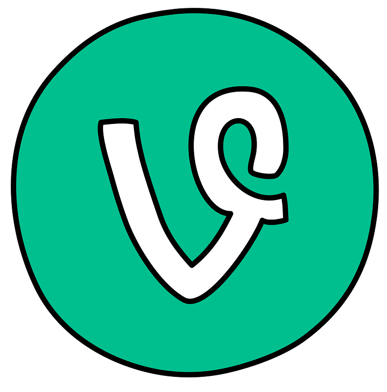 Social Media icons Vine icon