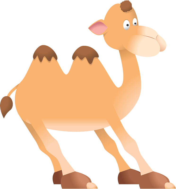 Cartoon camel