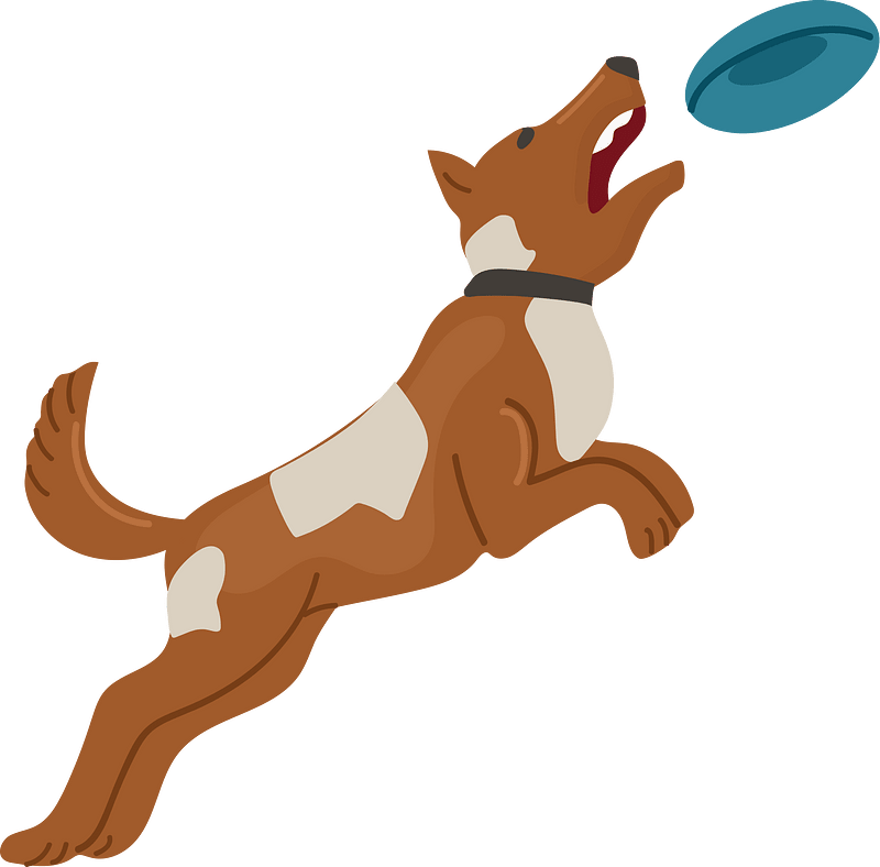 Dog Catches Frisbee