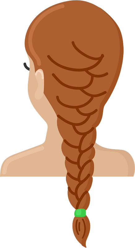 French Braid - Free vector clipart images on creazilla.com