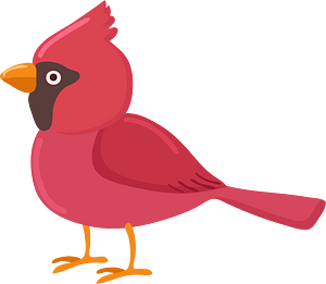 Northern Cardinal