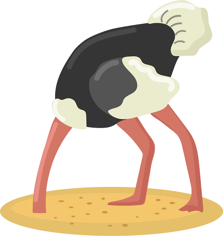 Ostrich Head In The Sand
