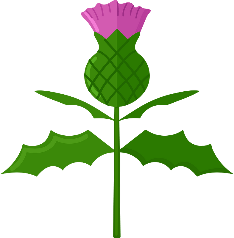 Thistle - Free vector clipart images on creazilla.com