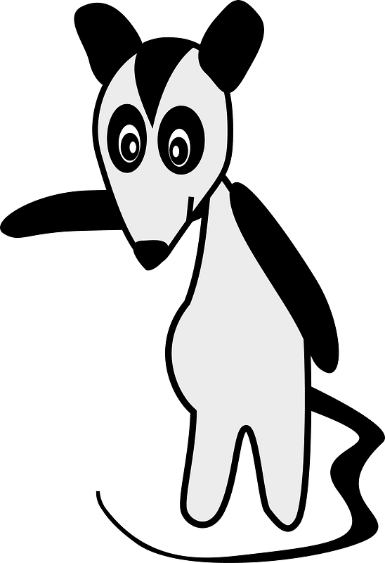 Possum
