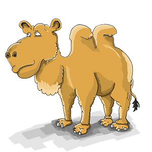 Camel