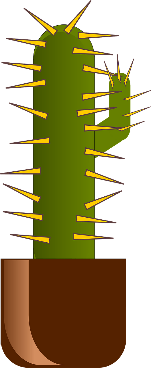 Cactus in a Brown Pot