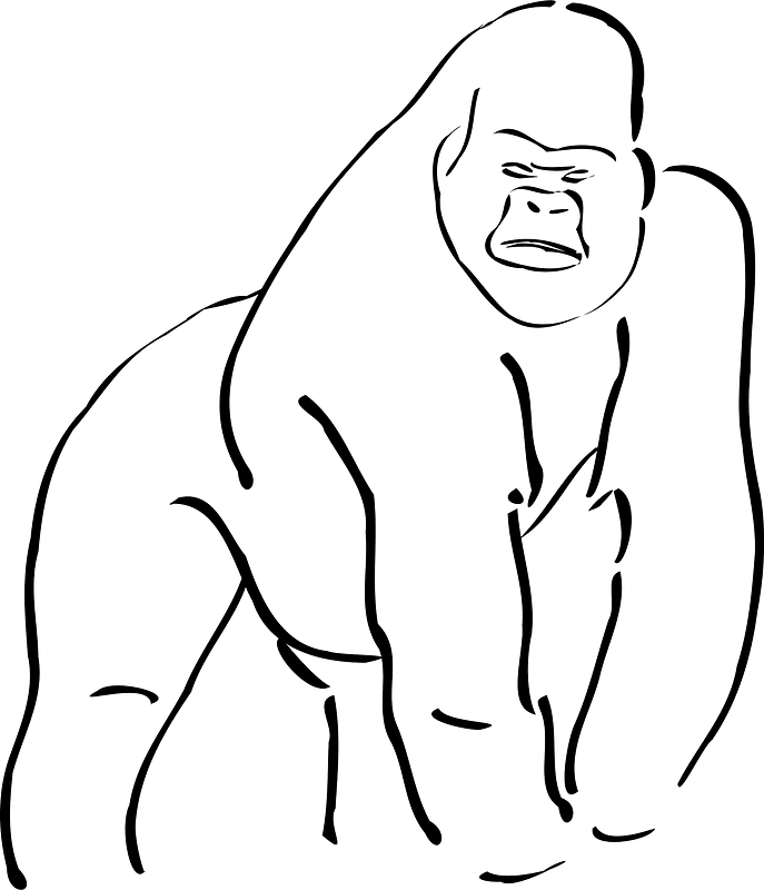 Gorilla outline