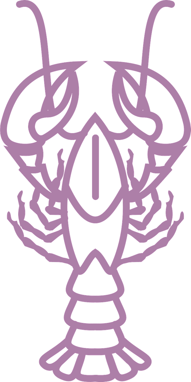 Lobster Outline