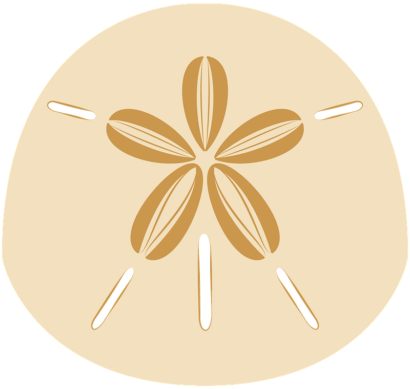 Sand dollar
