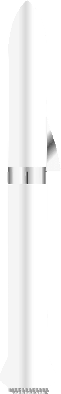 SpaceX BFR
