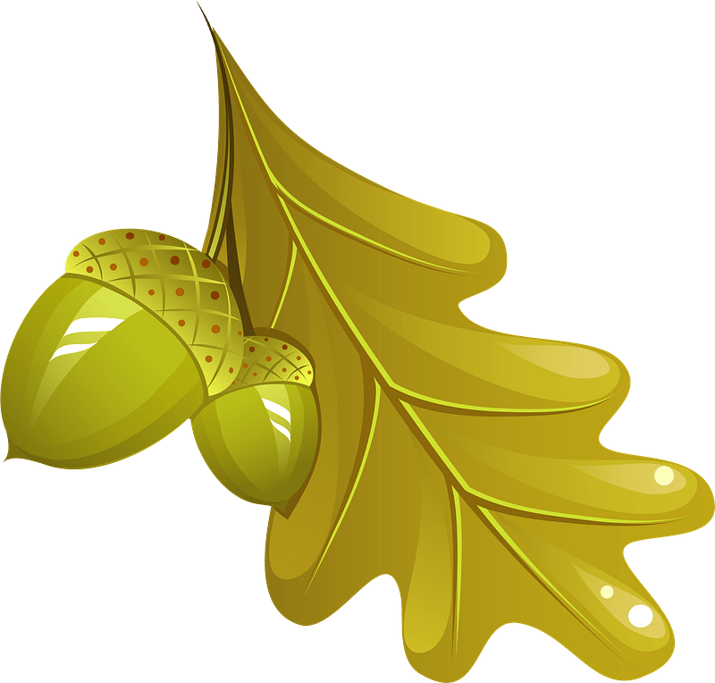 Oak leaf and acorn