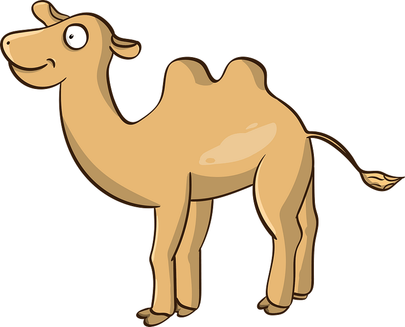 Cartoon camel
