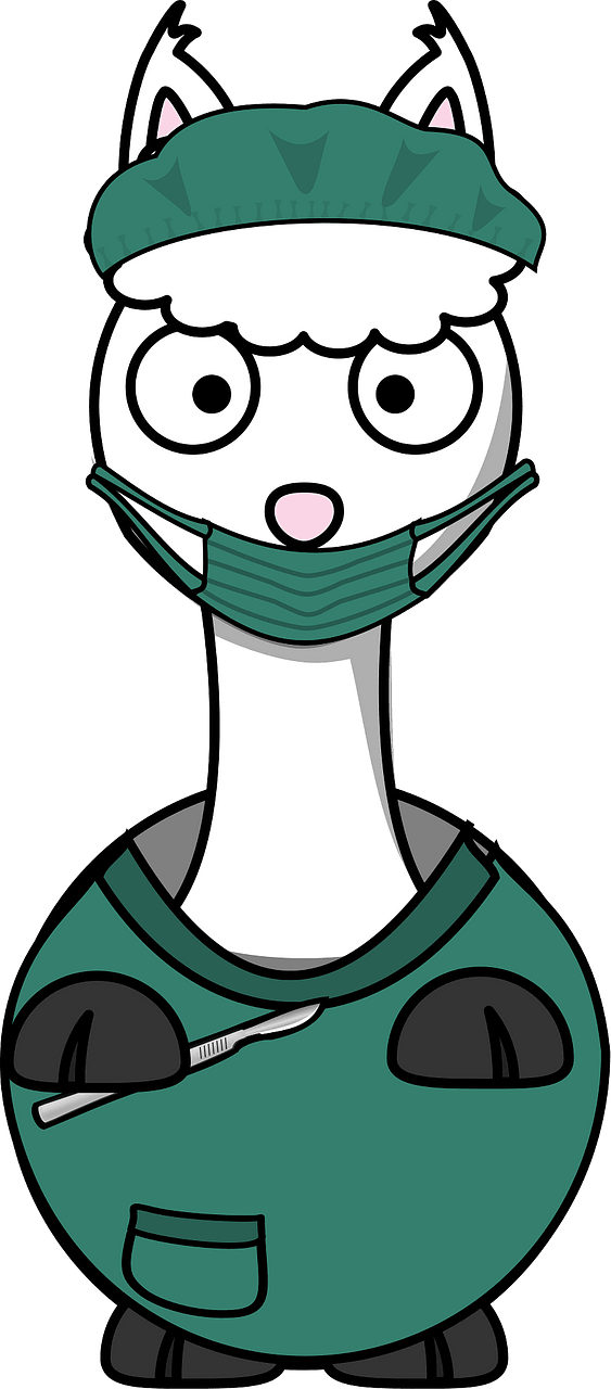 Llama Surgeon