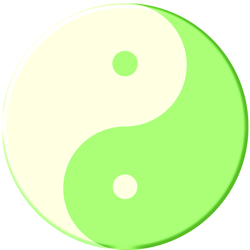 Yin-Yang mint pudding