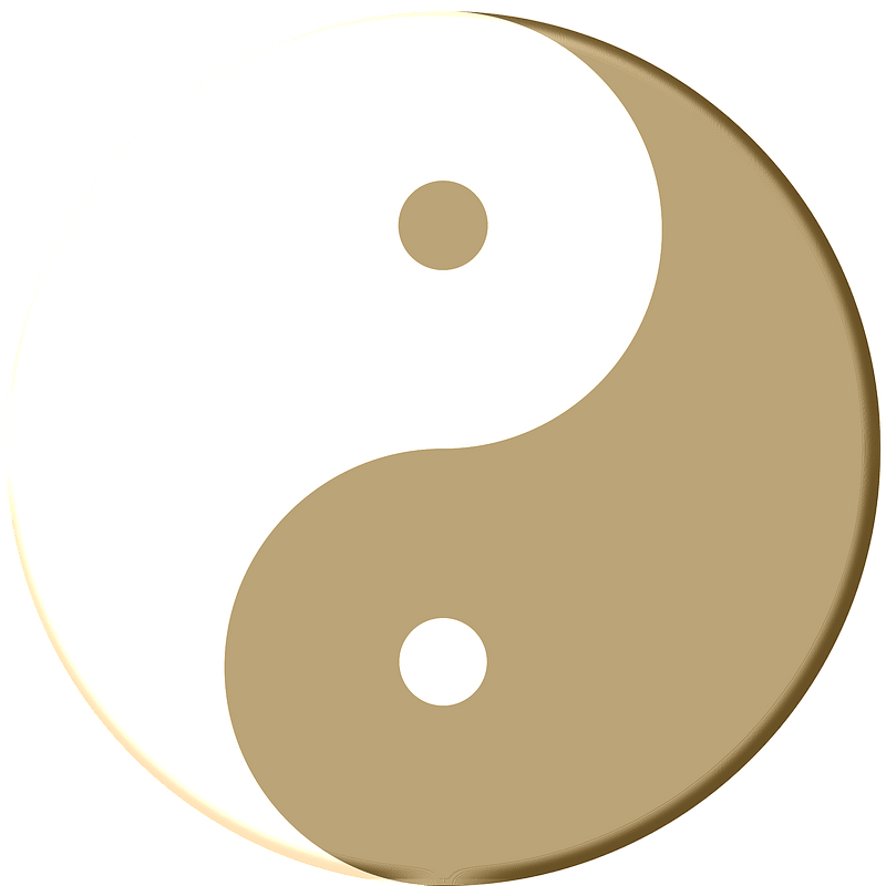 Yin-Yang pudding