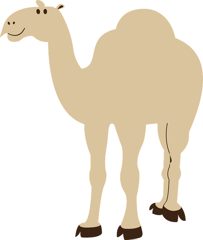 Cartoon camel