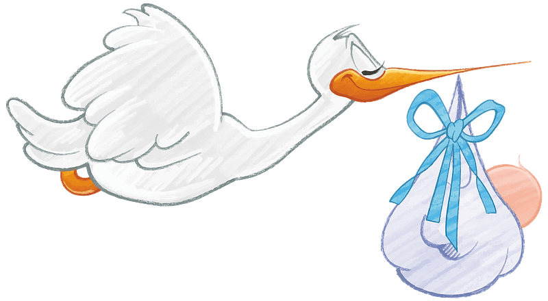 Stork carrying baby boy