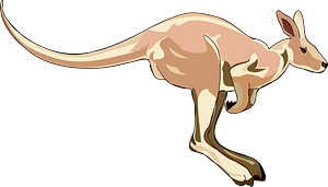 Kangaroo