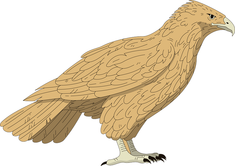 Falcon