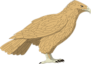 Falcon