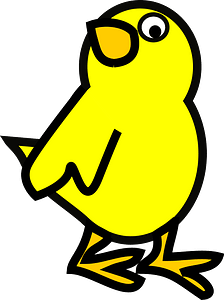 Chick