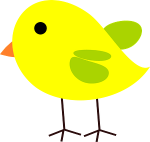 Chick