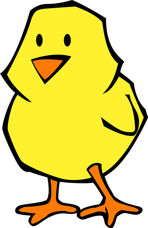 Chick