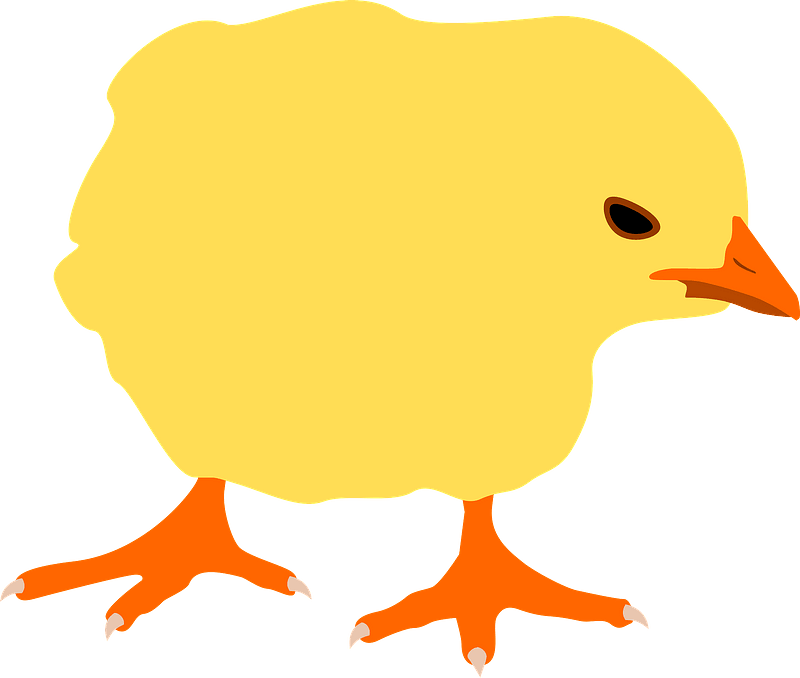 Chick