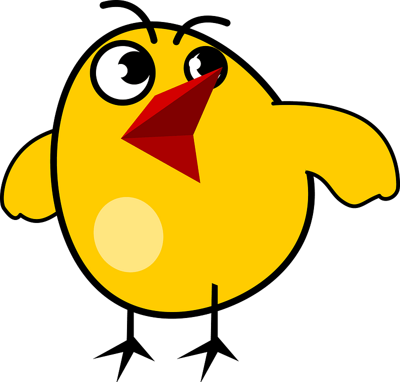 Annoyed Chick