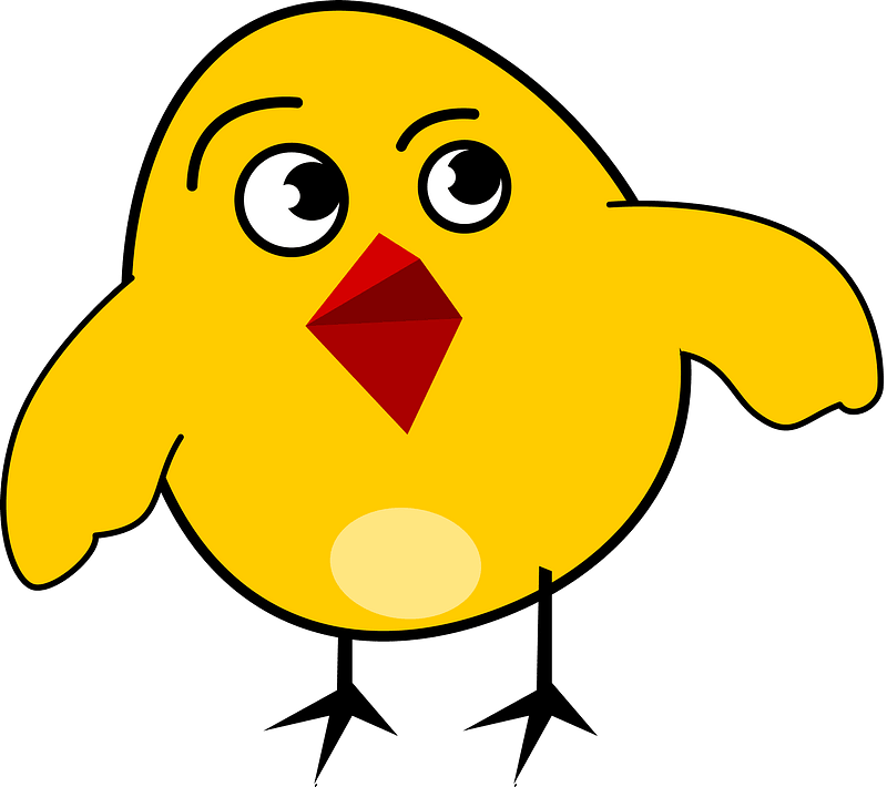 Chick