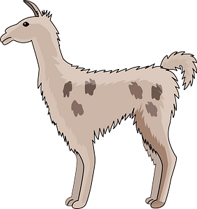 Llama