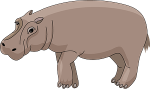 Hippo