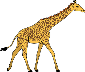 Giraffa